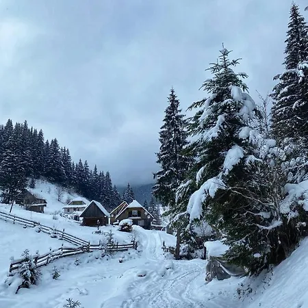 Hotell Syniy Vyr