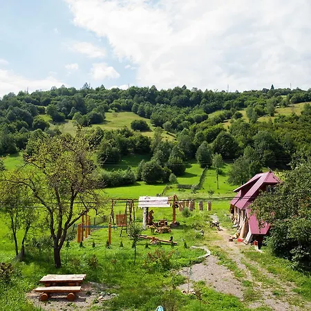 Hotell Syniy Vyr *