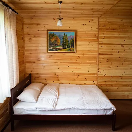 Hotell Syniy Vyr